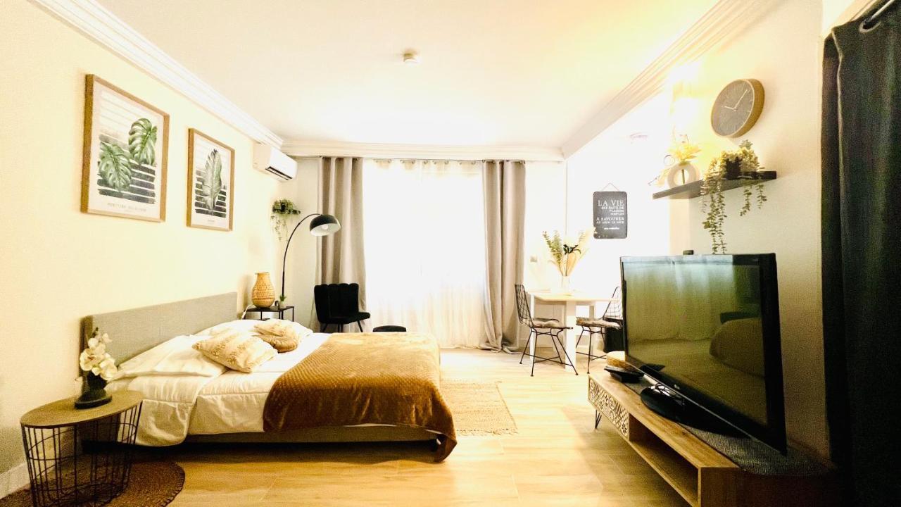 Le Miramar Nice - Clim, Parking, Wifi Et Piscine 外观 照片